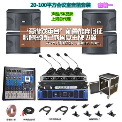 APP入口