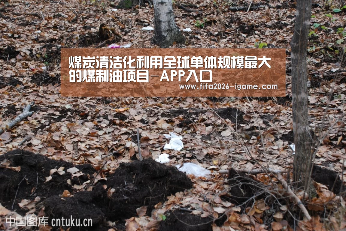 APP入口