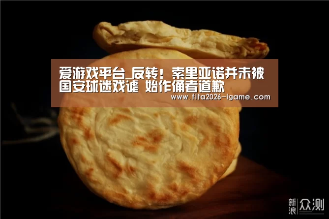 爱游戏体育官网